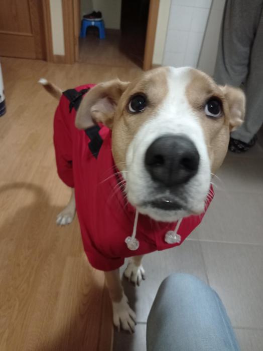 Odín 