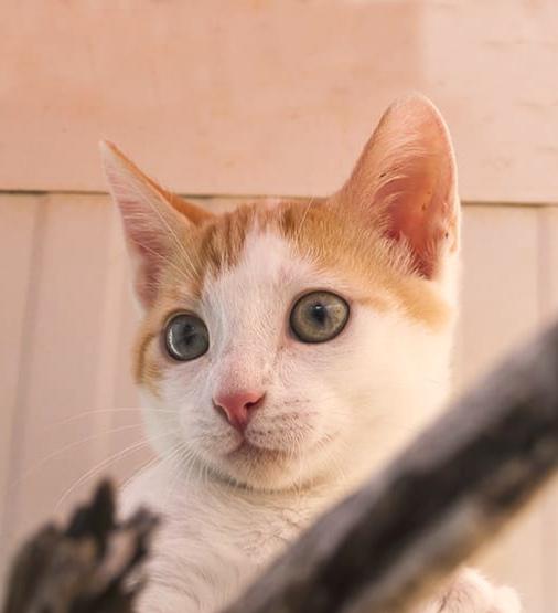 QUILBERTO 