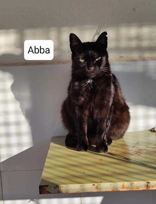 ABBA