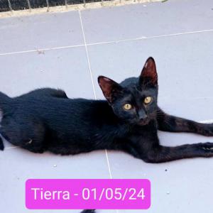 Tierra