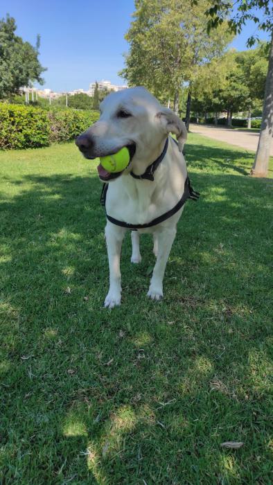 Luna