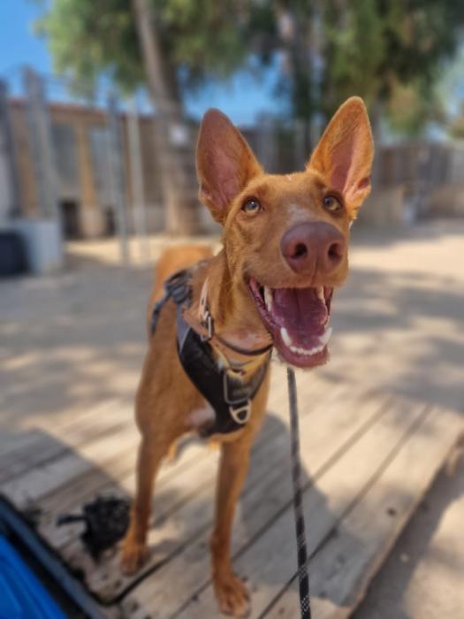 Luka