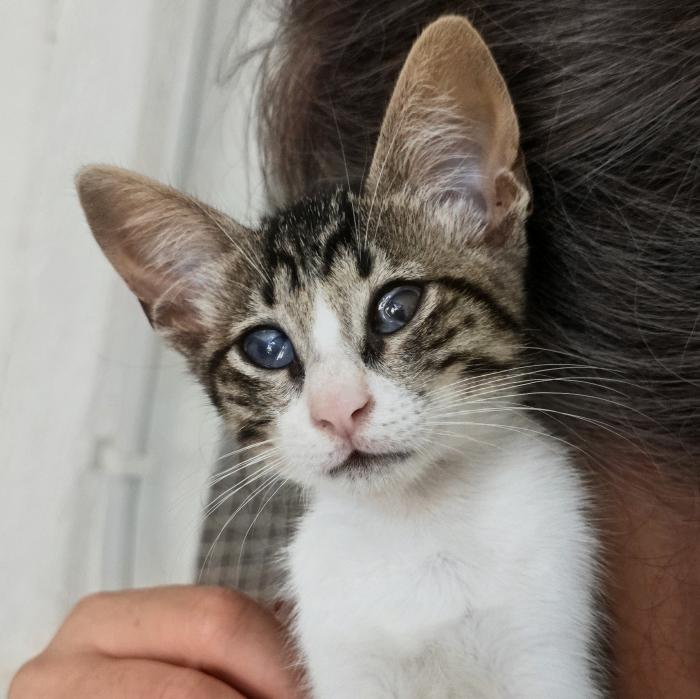 Fiona