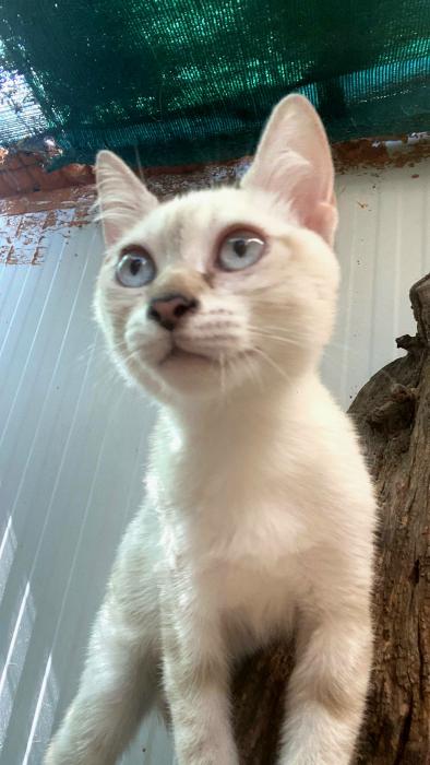 Tina 